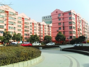 新興南區，三室一廳