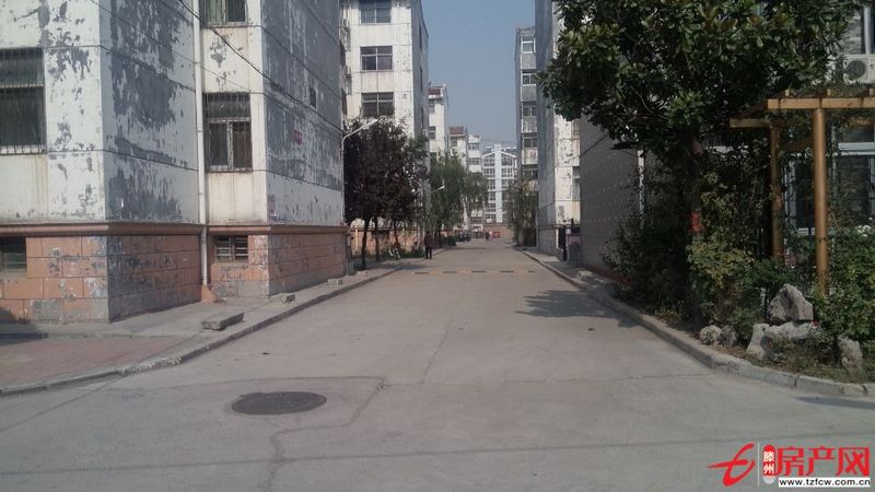 位置好的學(xué)區(qū)房