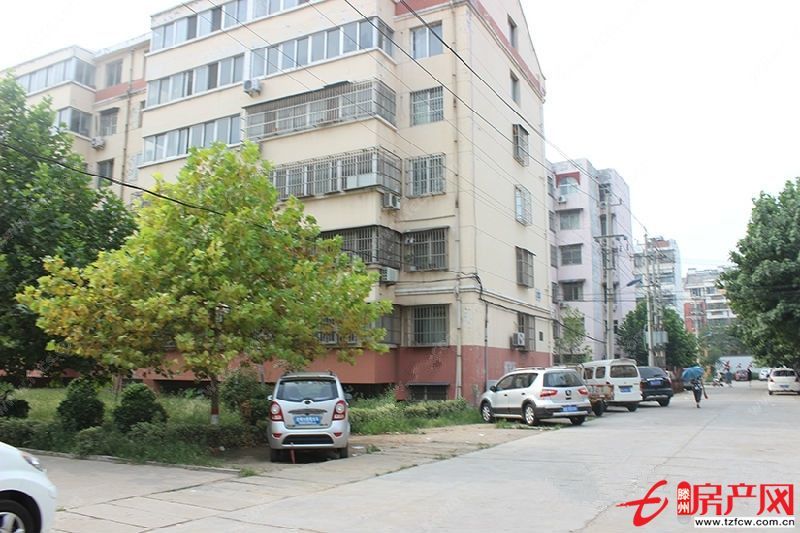 誠信花園，經典多層，頂樓，上學方便，過渡的不二選