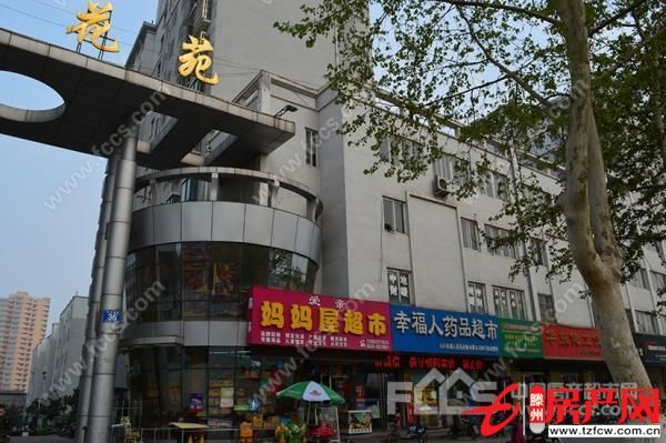 春蕾花苑大二居低價(jià)出售